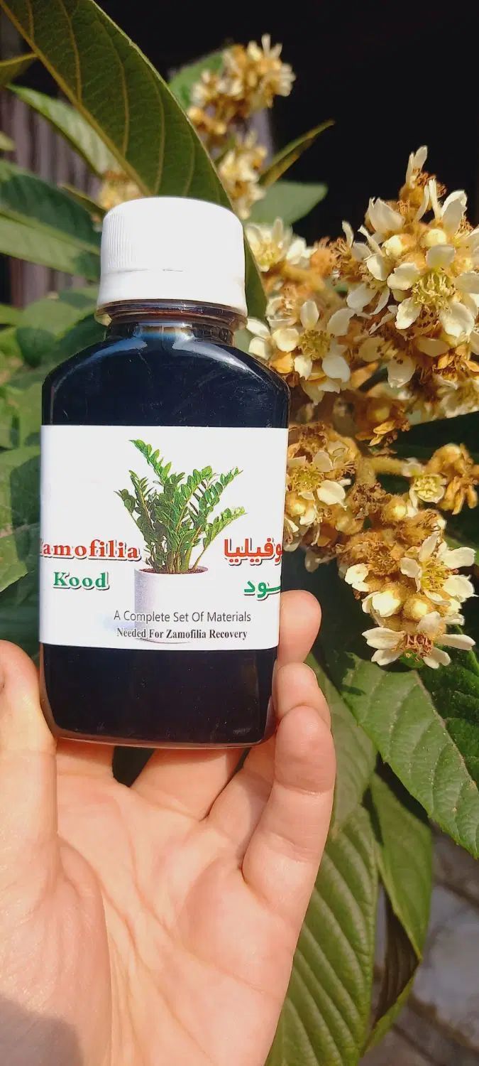 کود تقویتی گل آپارتمانی و قیم پتوس، خاک مخلوط|گل و گیاه طبیعی|رشت, پیرکلاچای|دیوار