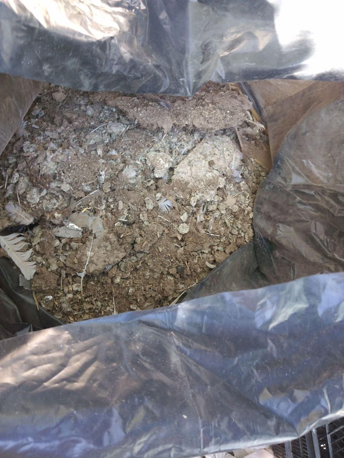 زل کبوتر|لوازم جانبی حیوانات|شاهین‌شهر, شهرک گلدیس|دیوار