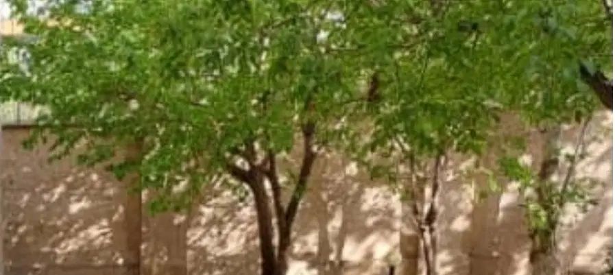 اجاره   واحد|اجارهٔ آپارتمان|کرج, فاز ۲ مهرشهر|دیوار