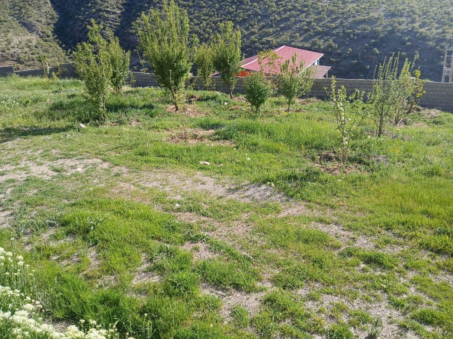 ویلا خانه باغ اجاره ای روستای گردشگری کاکارضا|اجارهٔ کوتاه‌مدت ویلا و باغ|خرم‌آباد, |دیوار