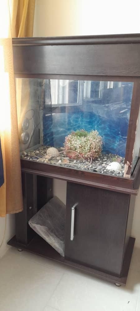 آکواریوم و لوازم با کمد ام دی اف|ماهی|پرند, فاز ۵|دیوار