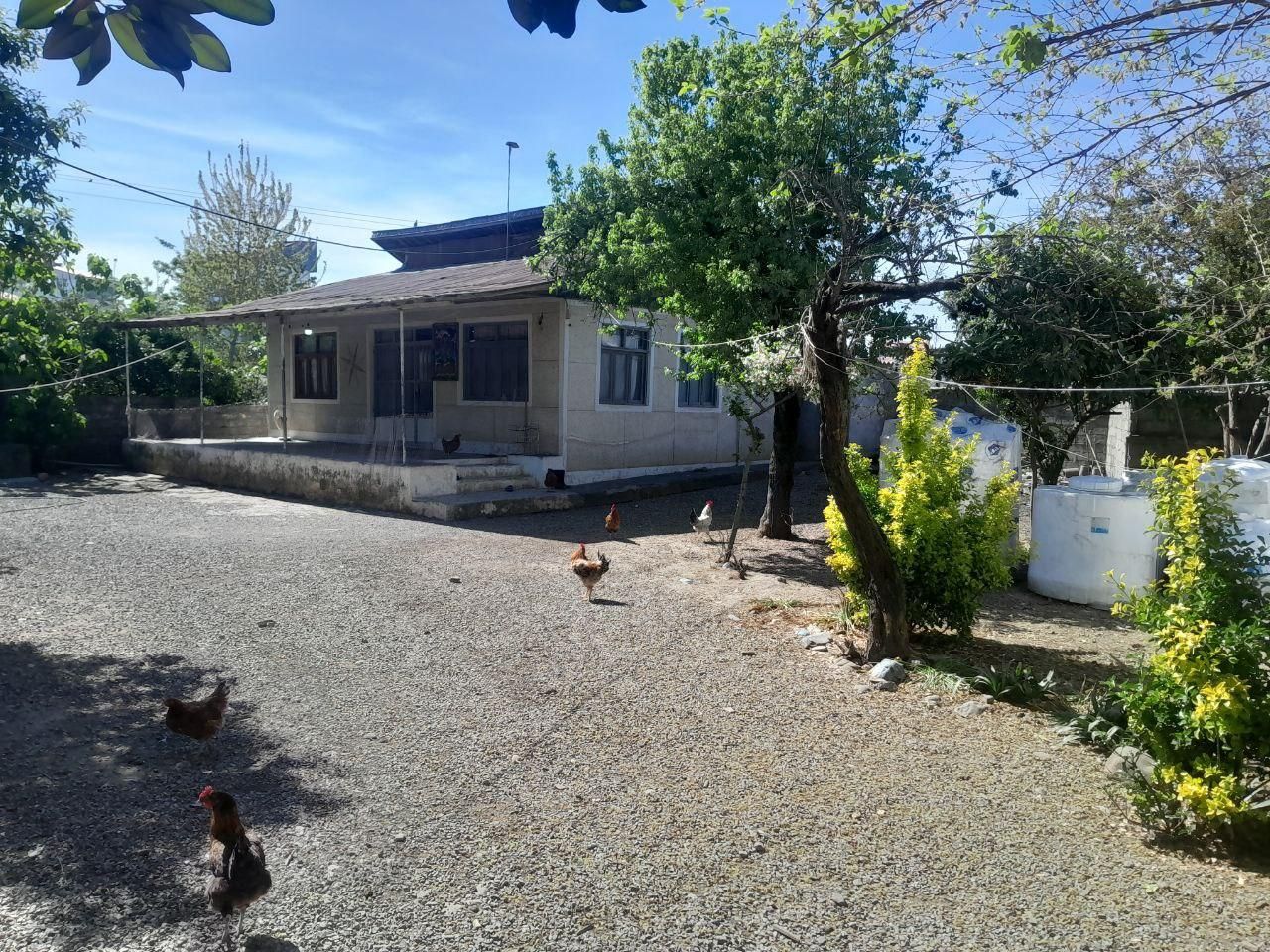 زمین مسکونی بنا قدیمی داخل شهر ۶۰۰متر سند تک برگ|فروش زمین و ملک کلنگی|رضوانشهر, |دیوار