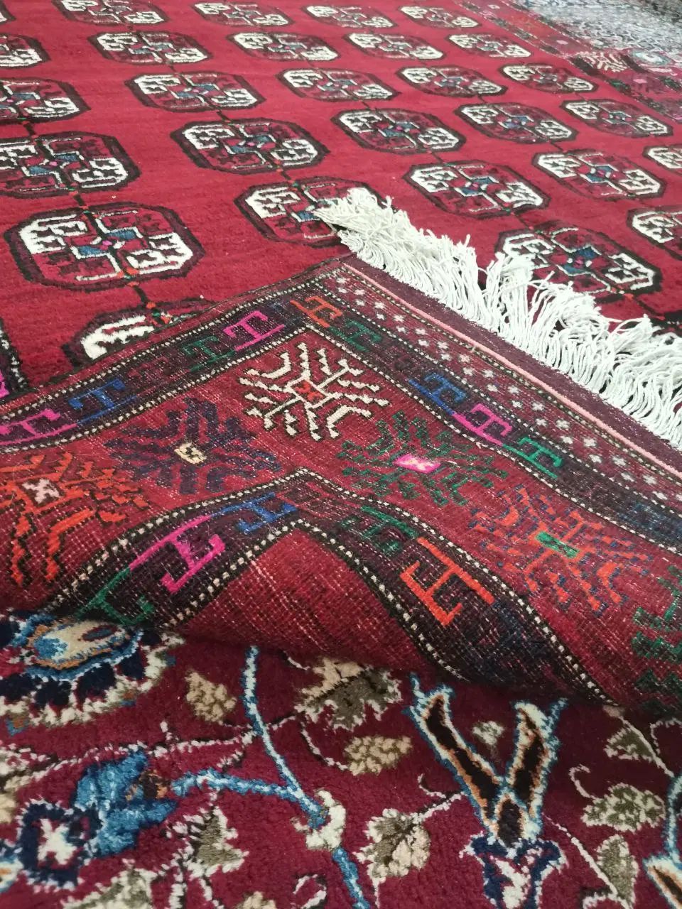 فرش پشمی کاشمر|فرش|مشهد, شهید فرامرز عباسی|دیوار