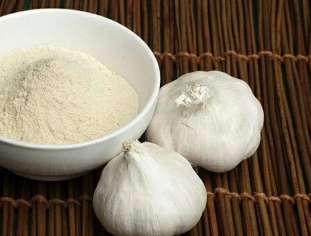 پودر سیر و پودر پیاز خانگی کاملا طبیعی و بهداشتی|خوردنی و آشامیدنی|سمنان, |دیوار