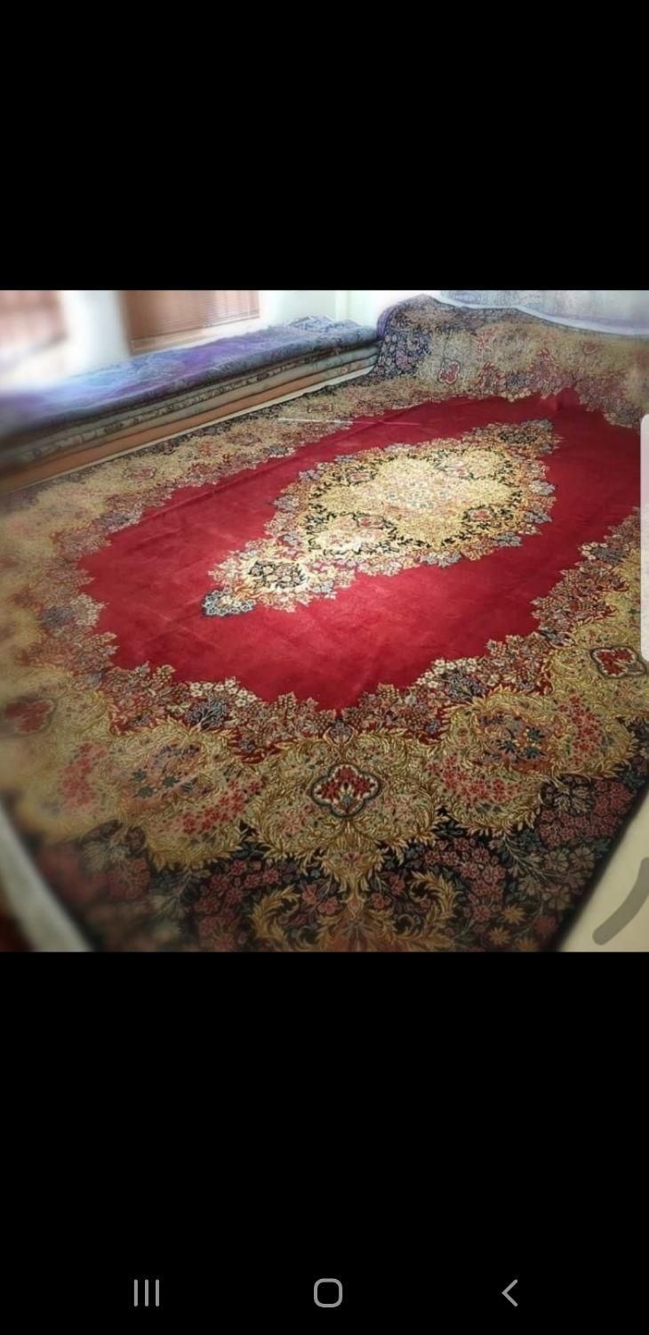 قالی شویی تاپ جهرم|خدمات نظافت|جهرم, |دیوار