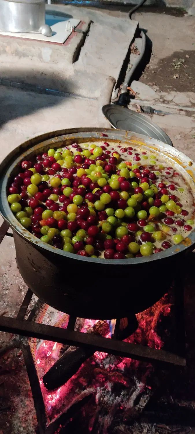 لواشک آلو شابلون و آبغوره طبیعی طالقان|خوردنی و آشامیدنی|کرج, شاهین‌ویلا|دیوار