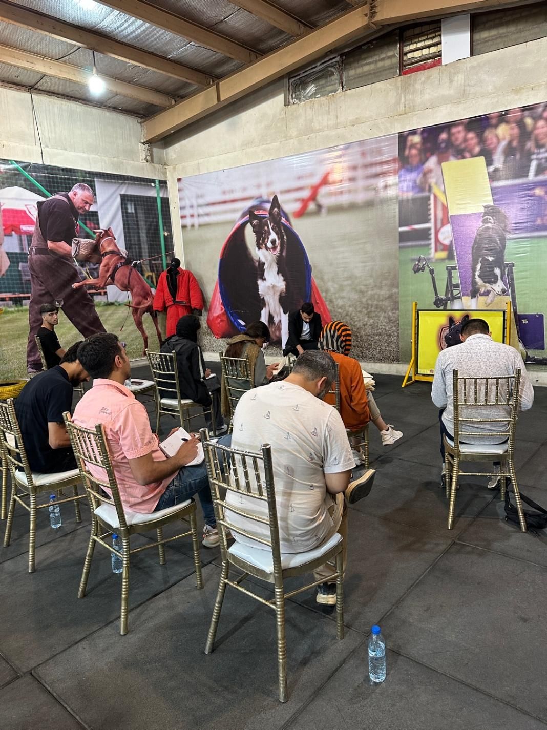 باشگاه تربیت و آموزش سگ ، مربی سگ|خدمات آموزشی|اصفهان, سپاهانشهر|دیوار