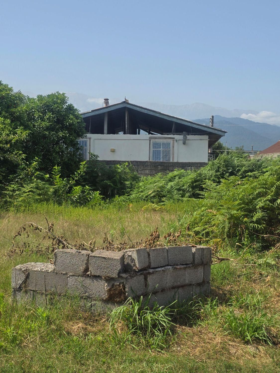 فروش زمین ۳۲۴ متری باکاربری مسکونی|فروش زمین و ملک کلنگی|کلاچای, |دیوار