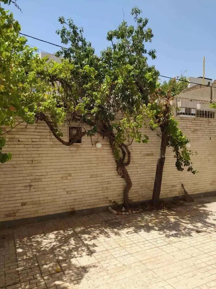2 طبقه ویلایی در بست(خیابان توحید،صاحب الزمان)|اجارهٔ خانه و ویلا|مشهد, سعد آباد|دیوار