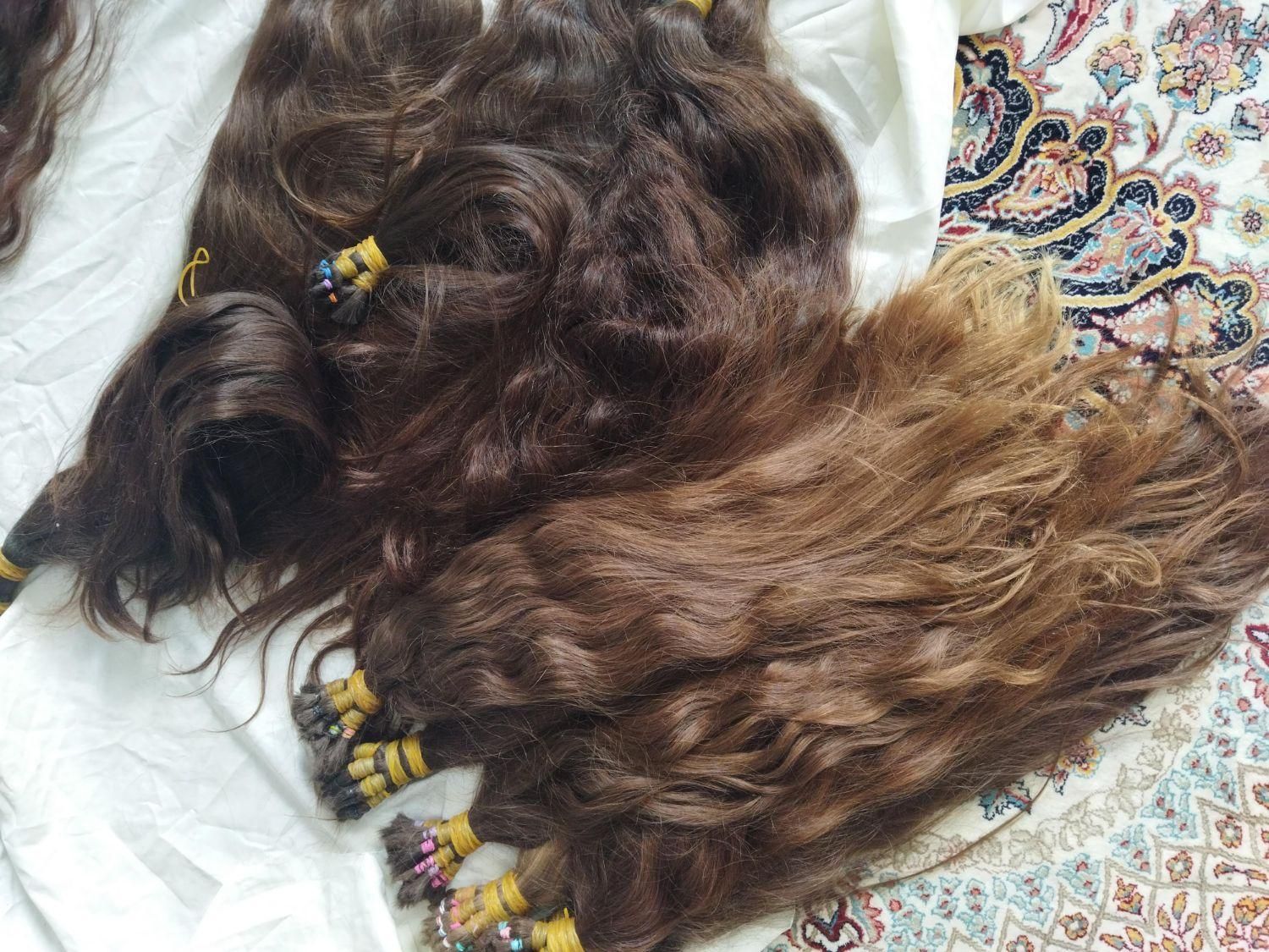 خریدار اصلی موهای بانوان|خدمات آرایشگری و زیبایی|ملایر, |دیوار