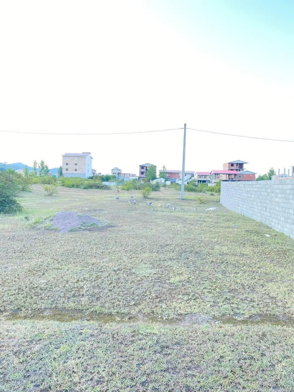 زمین به متراژ ۳۰۰ متر روستای ساحلی ویزنه ،قره سو|فروش زمین و ملک کلنگی|چوبر, |دیوار