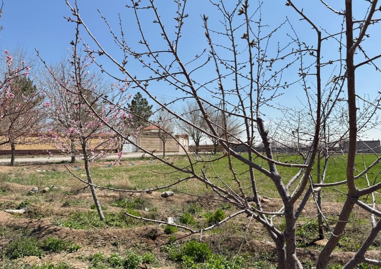 زمین ۵۲۰متری باغی/ملکی با آب وبرق/چکی/خرق|فروش زمین و ملک کلنگی|مشهد, توس (بلوار توس)|دیوار