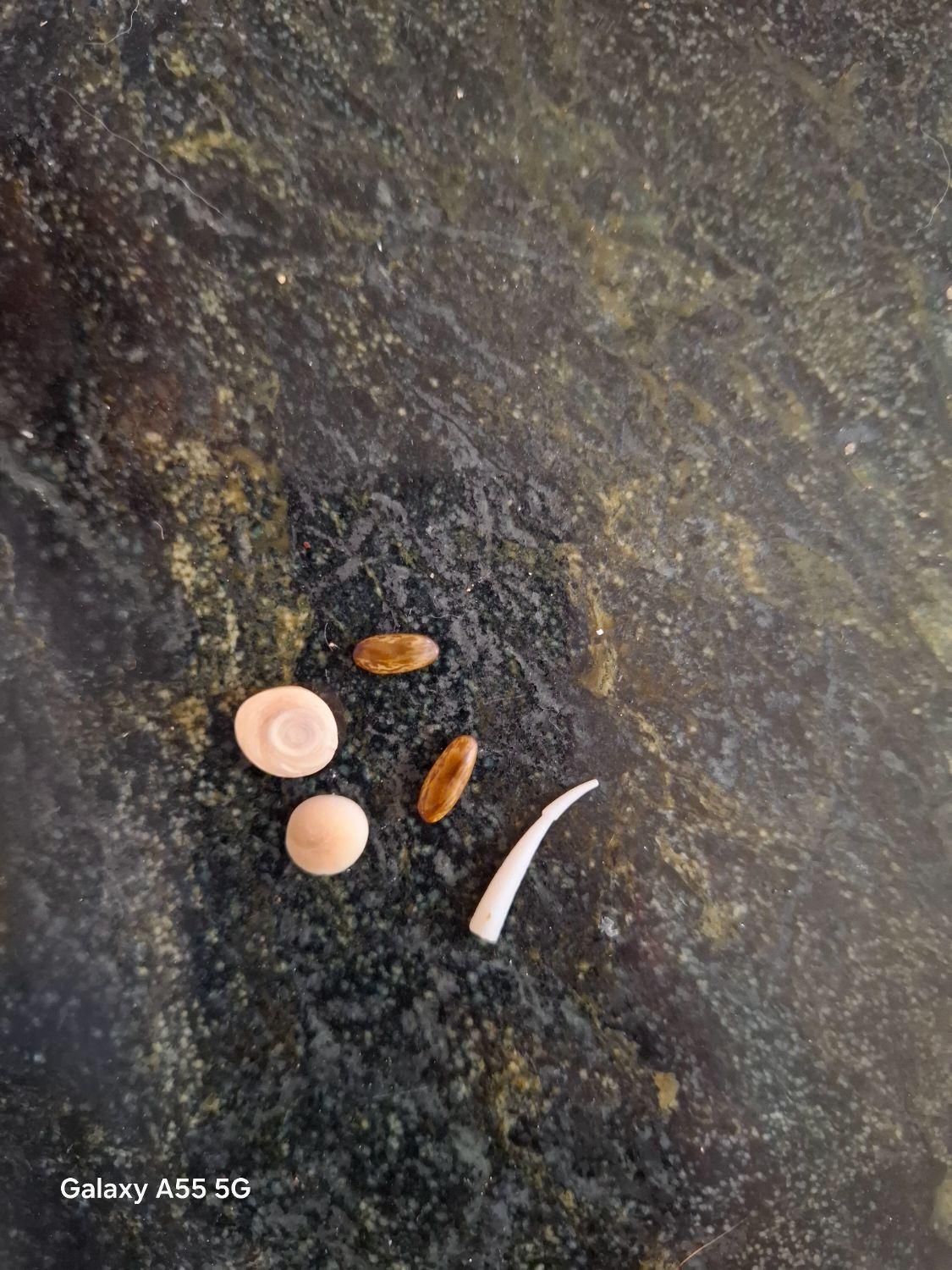 سنگ زیبا قیمتی|کلکسیون اشیاء عتیقه|شیراز, شهرک امام حسن|دیوار