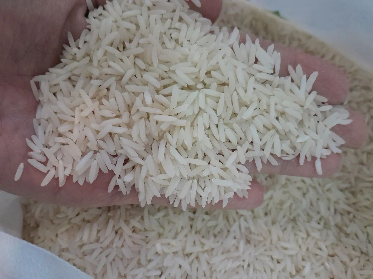 برنج هاشمی|خوردنی و آشامیدنی|رشت, سلیمانداراب|دیوار