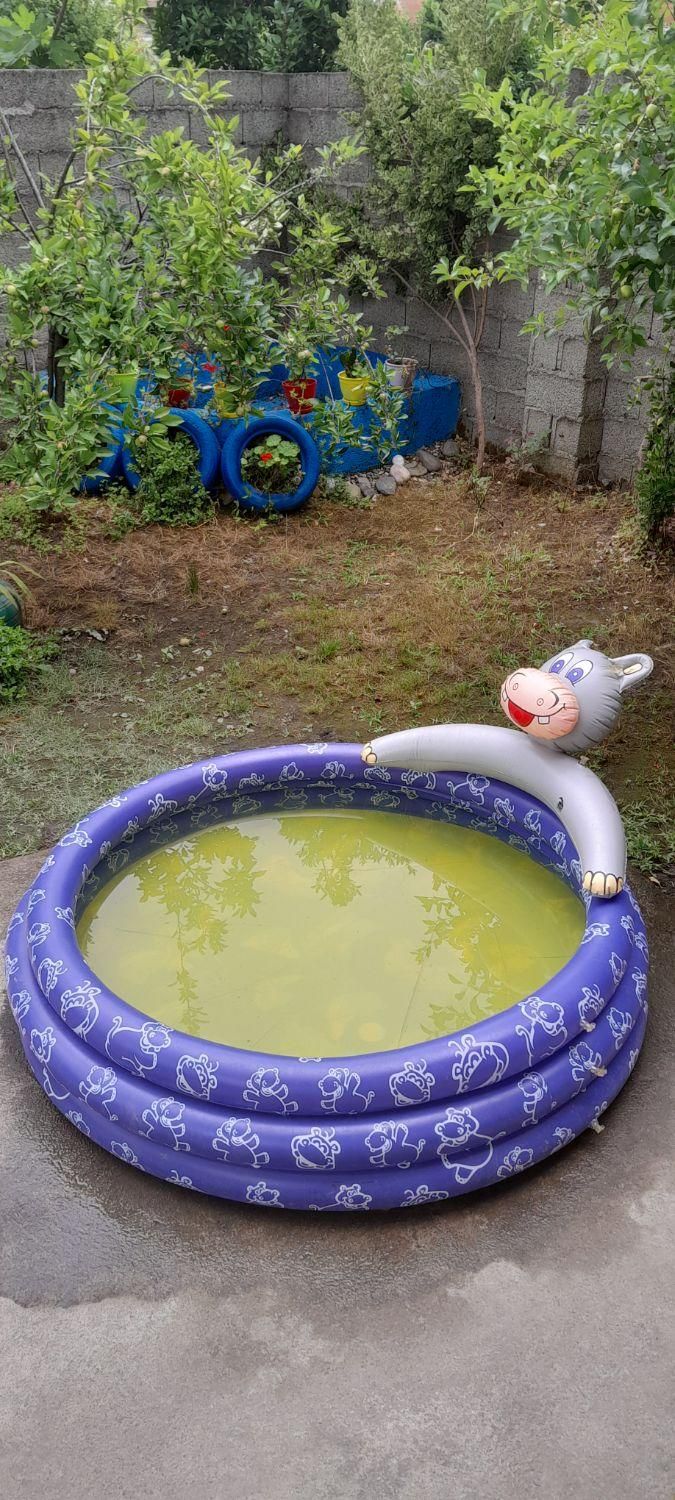 استخر بادی بزرگ|غواصی و ورزشهای آبی|رشت, حمیدیان|دیوار