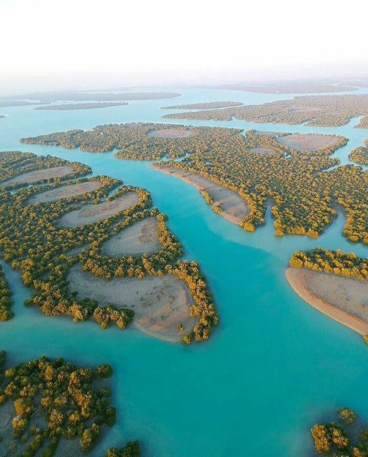 تور زیبای جزیره قشم|تور و چارتر|تهران, تهرانپارس شرقی|دیوار