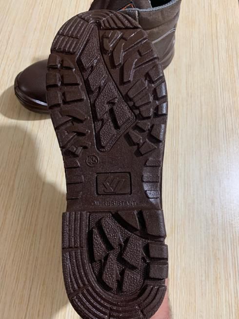 کفش کار ریما|کیف، کفش، کمربند|کاشان, سلطان امیر احمد|دیوار