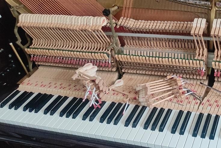 پیانو آکوستیک کوک و رگلاژ|پیانو، کیبورد، آکاردئون|قزوین, |دیوار