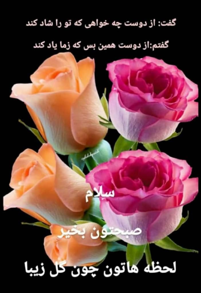 نظافتچی|خدمات نظافت|تهران, شهرک شهید باقری|دیوار