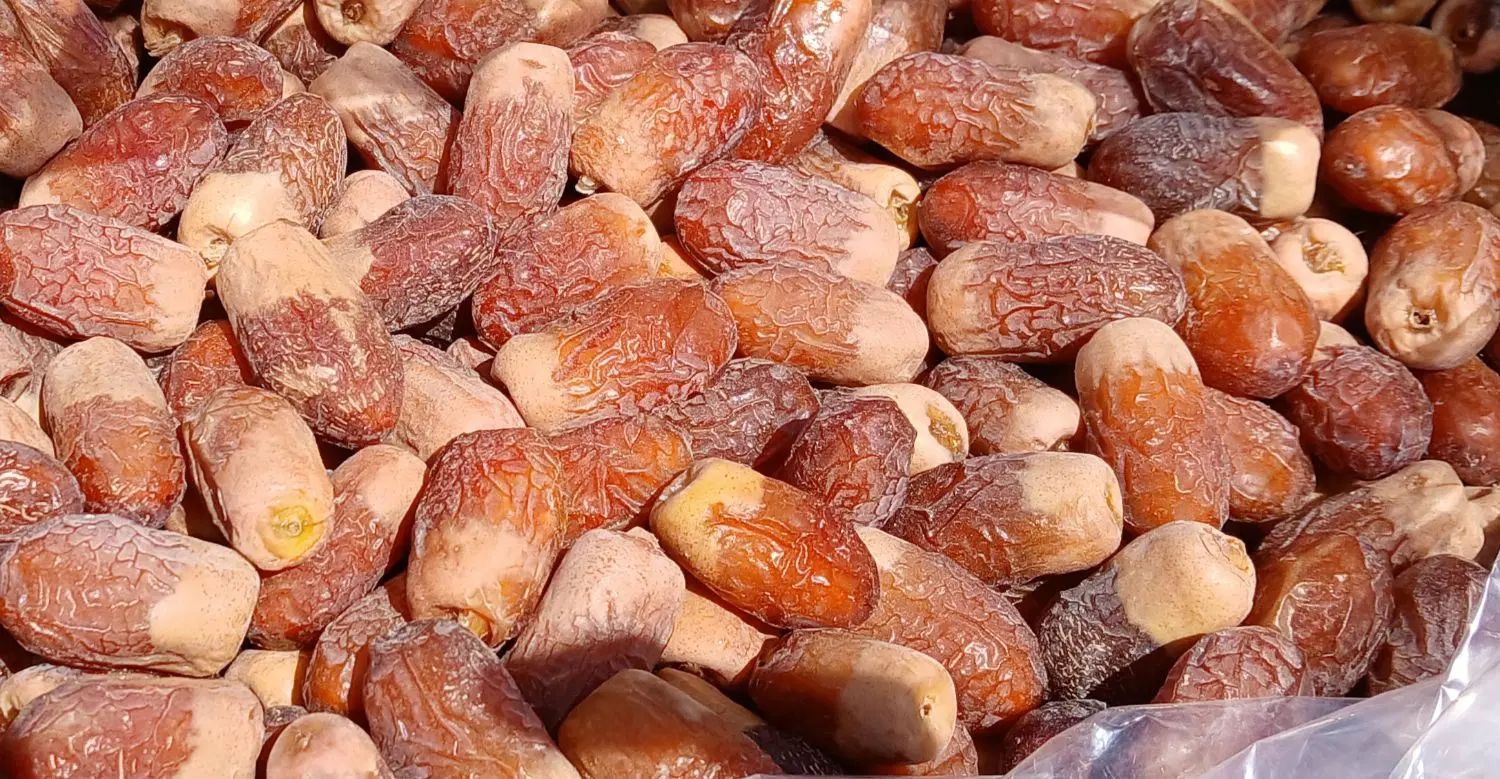 خرمای مضافتی، خرمای رنگنو و خرمای پیمازو|خدمات پذیرایی، مراسم|رشت, بازار|دیوار
