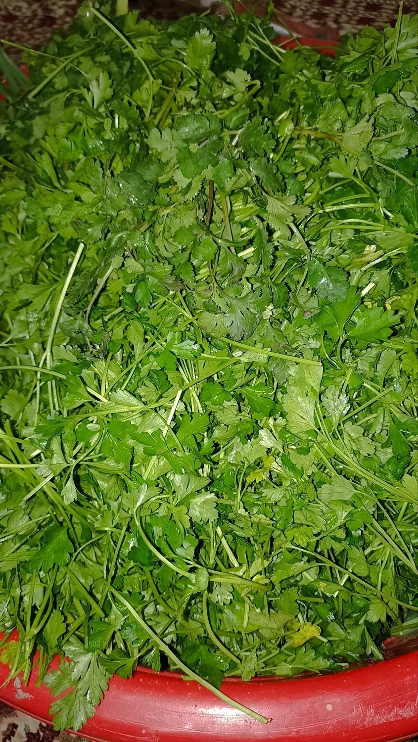 سفارش سبزی به صورت کلی، ویژه رستوران و سوپرمارکت|خوردنی و آشامیدنی|سبزوار, مدرس|دیوار