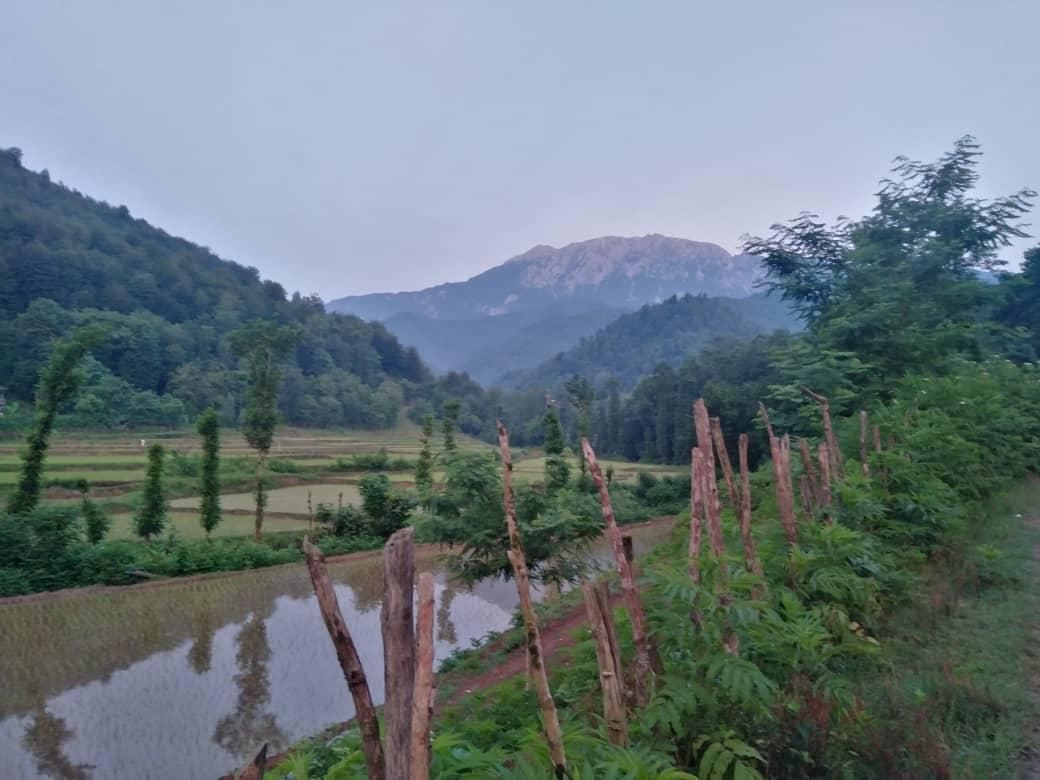 ویلا جنگلی کوهستانی با چشم انداز زیبا|اجارهٔ کوتاه‌مدت ویلا و باغ|رشت, توشیبا|دیوار