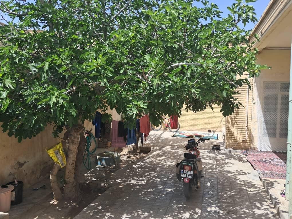 فروش منزل کلنگی در پیربکران|فروش زمین و ملک کلنگی|پیر بکران, |دیوار