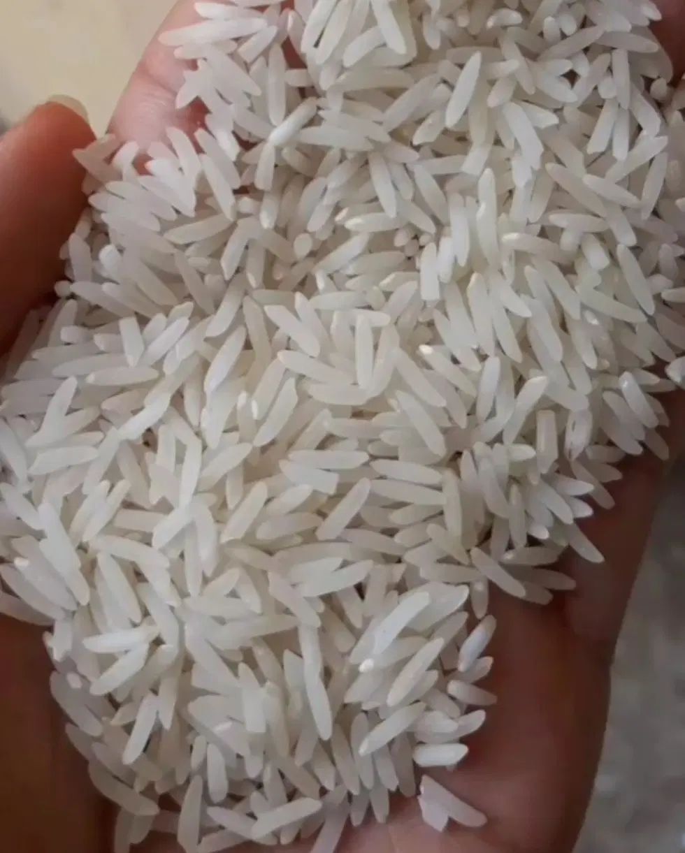 برنج طارم و فجر ممتاز با طعم و پخت بی نظیر|خوردنی و آشامیدنی|کردکوی, |دیوار