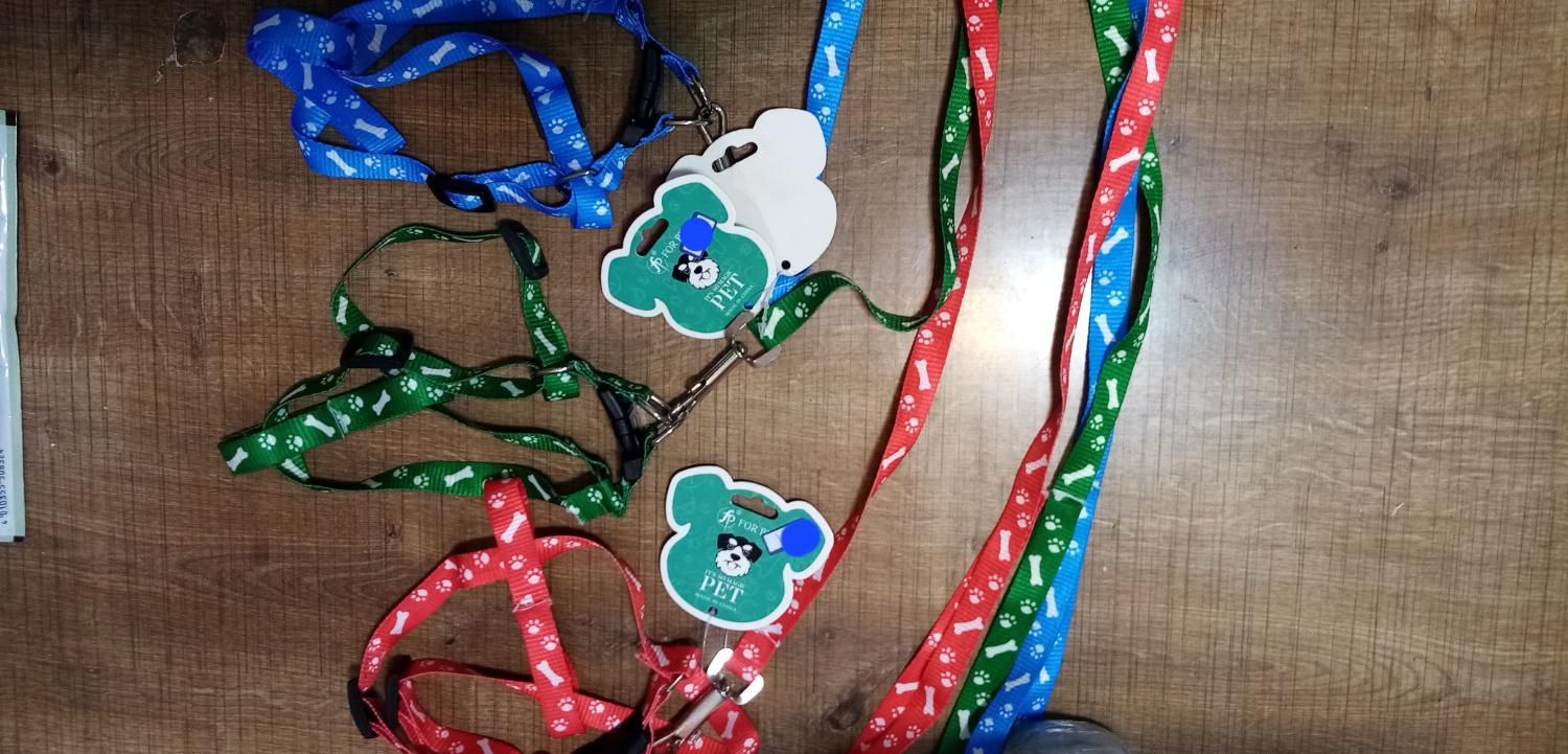 قلاده سگ|لوازم جانبی حیوانات|ارومیه, |دیوار