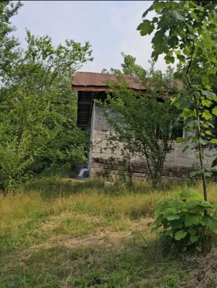 لاهیجان۱۵۰۰۰مترزمین مسکونی روستای توریستی ویوجنگل|فروش زمین و ملک کلنگی|لاهیجان, آهندان|دیوار