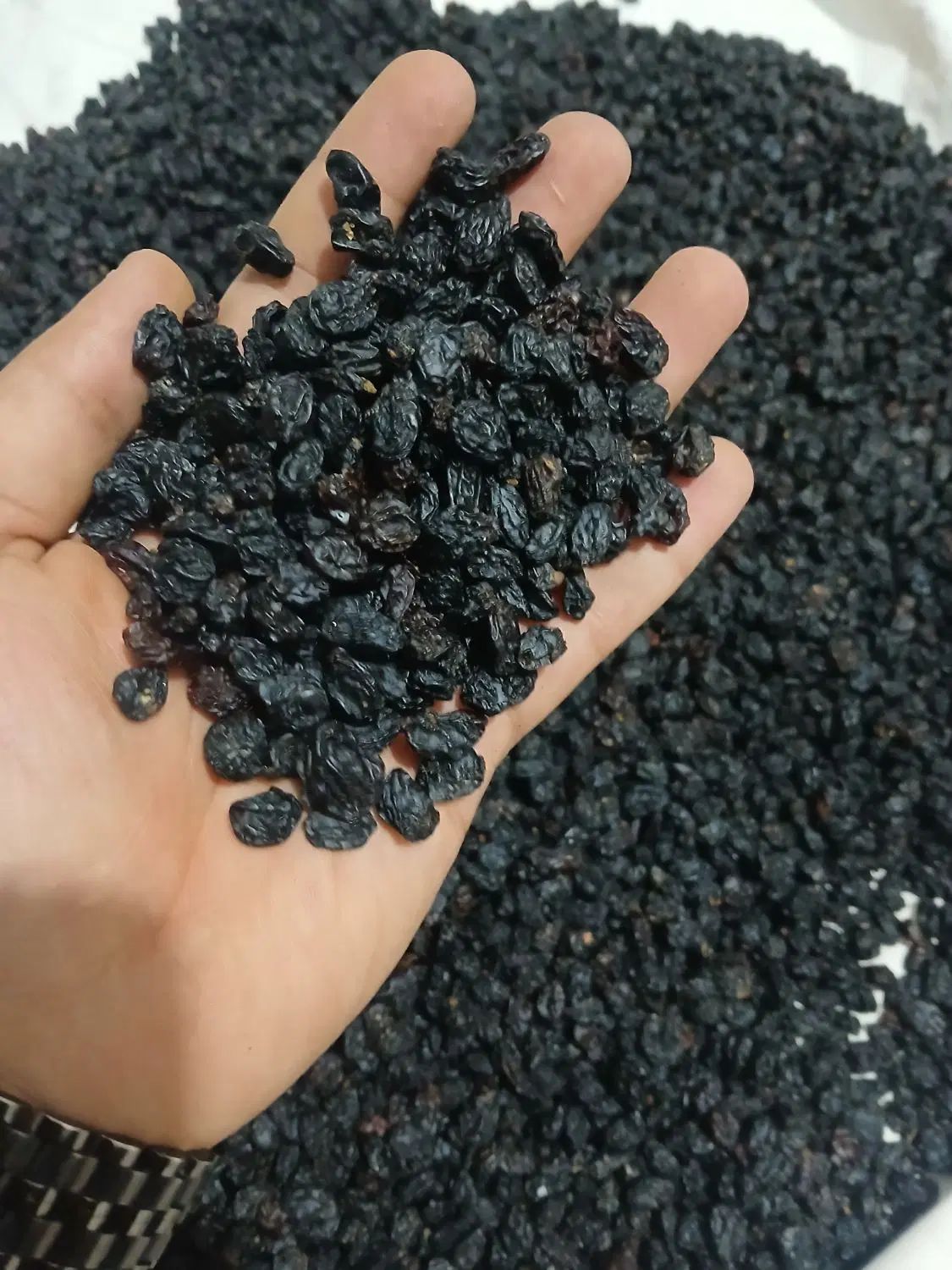 مویز شانی|خوردنی و آشامیدنی|تهران, اوین|دیوار