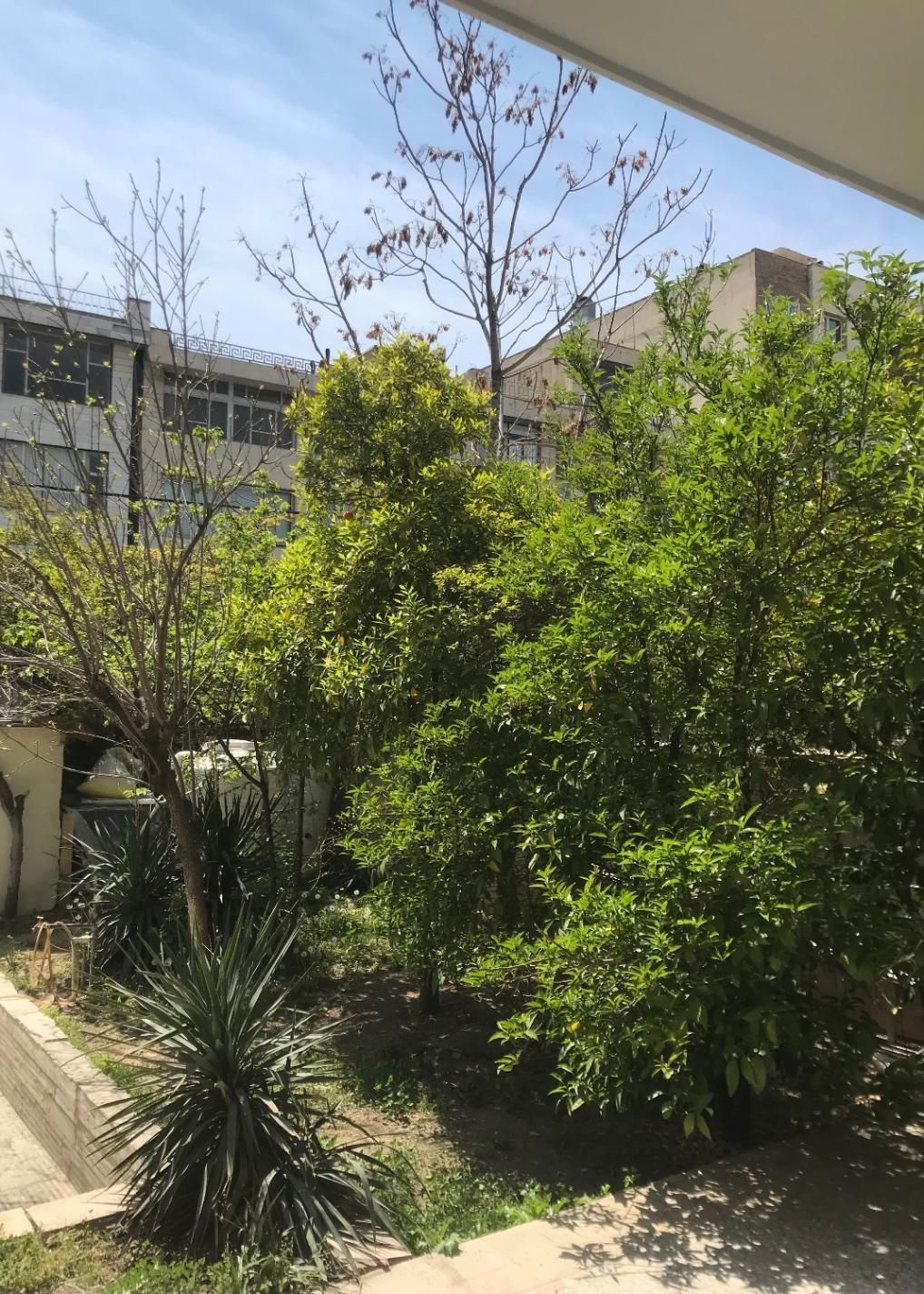 خوابگاه پانسیون دخترانه شادمان|اجارهٔ کوتاهمدت آپارتمان و سوئیت|تهران, توحید|دیوار