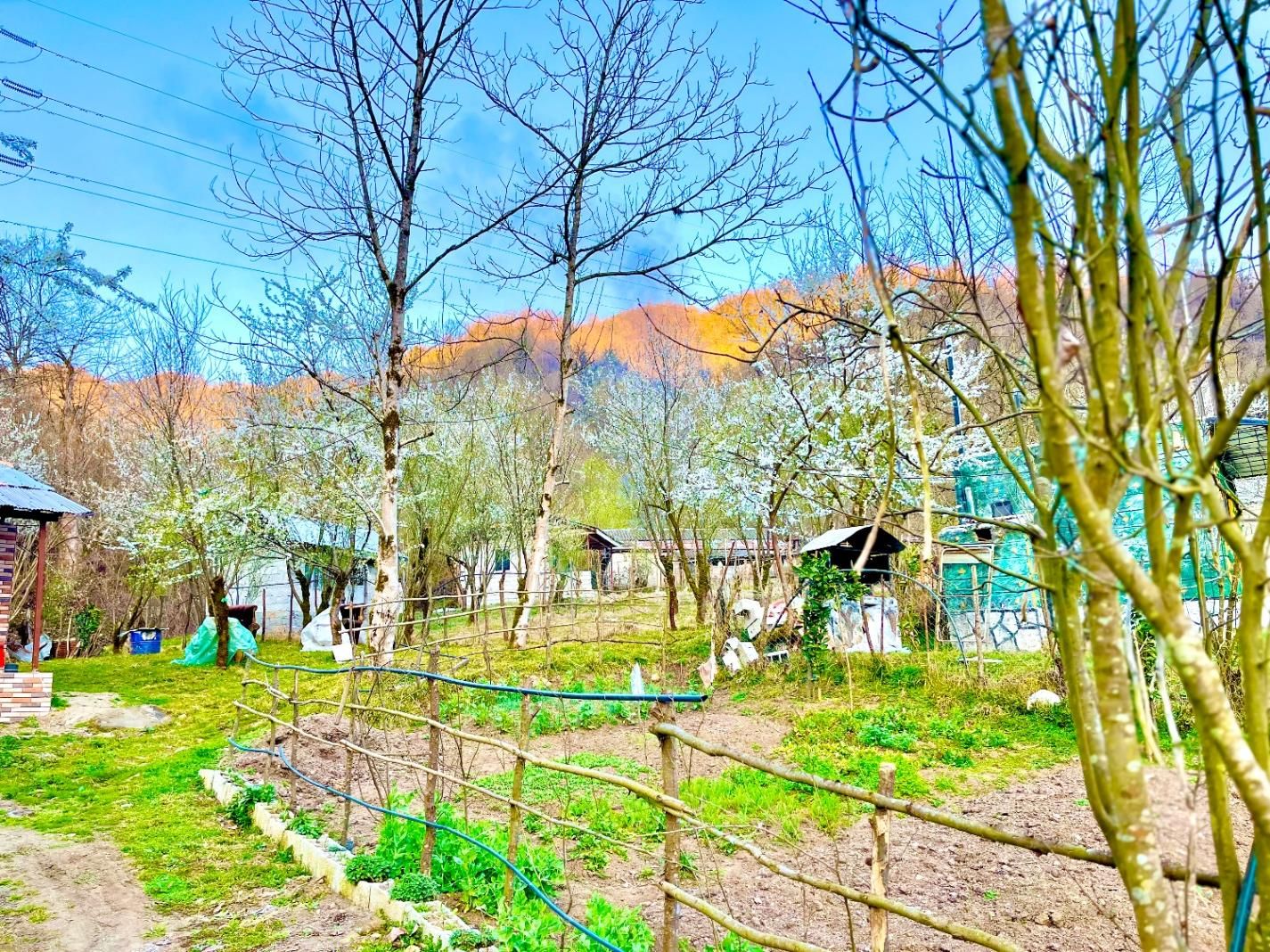 *سویت جنگلی/نقلی شیک/نوساز،حیاط دار  دربست پارکینگ|اجارهٔ کوتاه‌مدت آپارتمان و سوئیت|پره‌سر, |دیوار