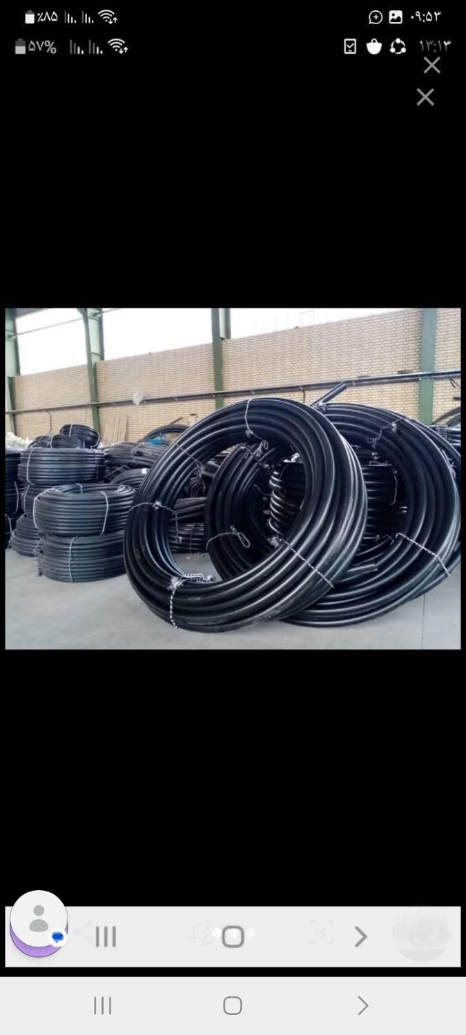 نوارتیپ گندم و کشت آزاد.لوله|خدمات باغبانی و درختکاری|نیشابور, |دیوار