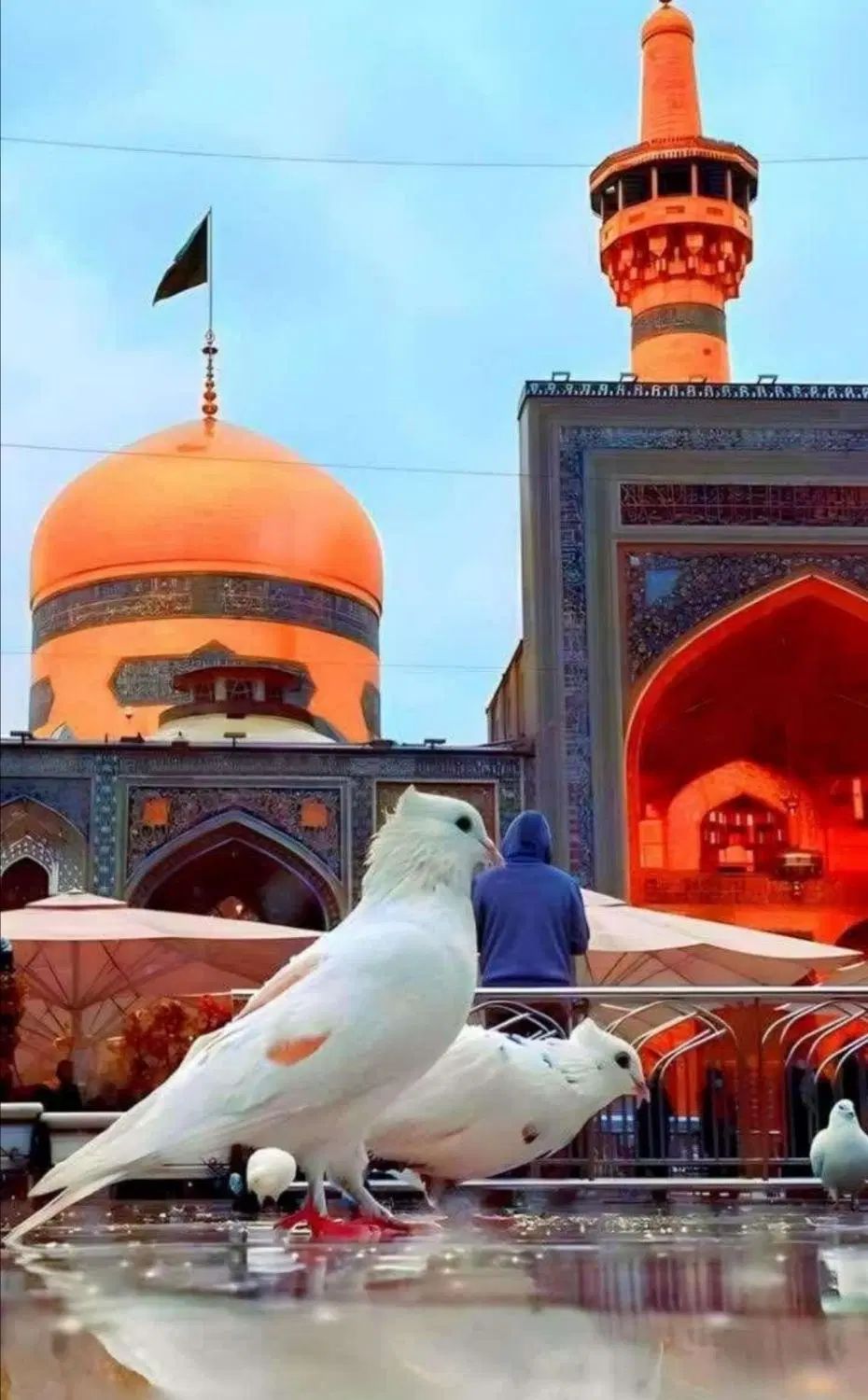 هتل ارزان واقتصادی با صبحانه رایگان|اجارهٔ کوتاه‌مدت آپارتمان و سوئیت|مشهد, امام رضا (ع)|دیوار