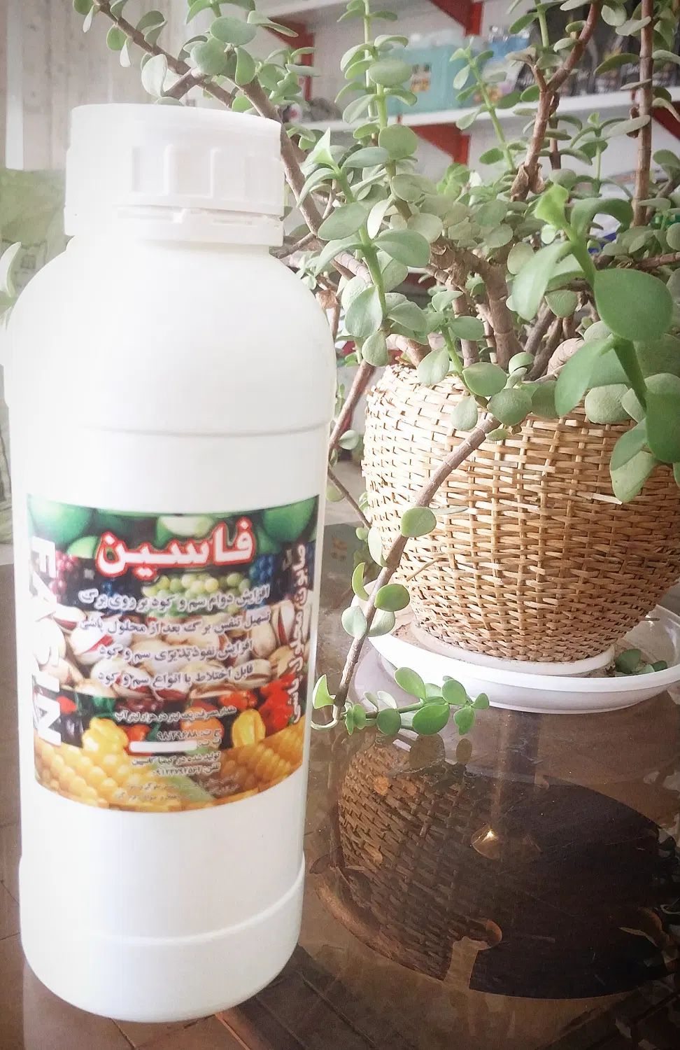 خدمات کشاورزی پسته|خدمات باغبانی و درختکاری|تبریز, |دیوار