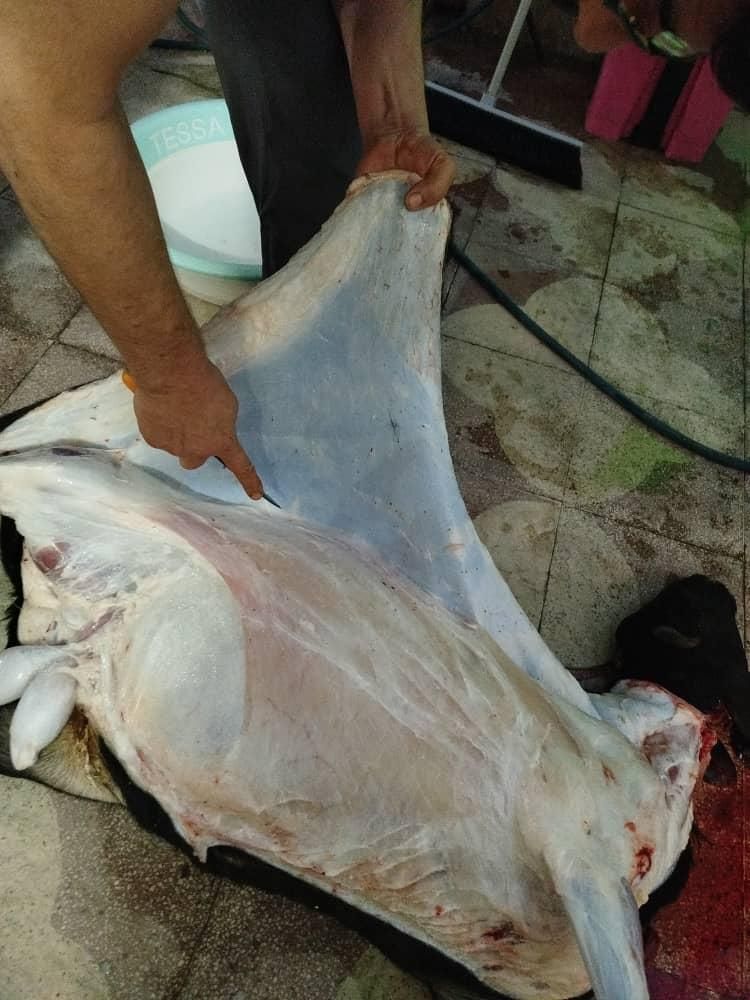 قصاب سیار|خدمات پذیرایی، مراسم|شیراز, دشت چنار|دیوار