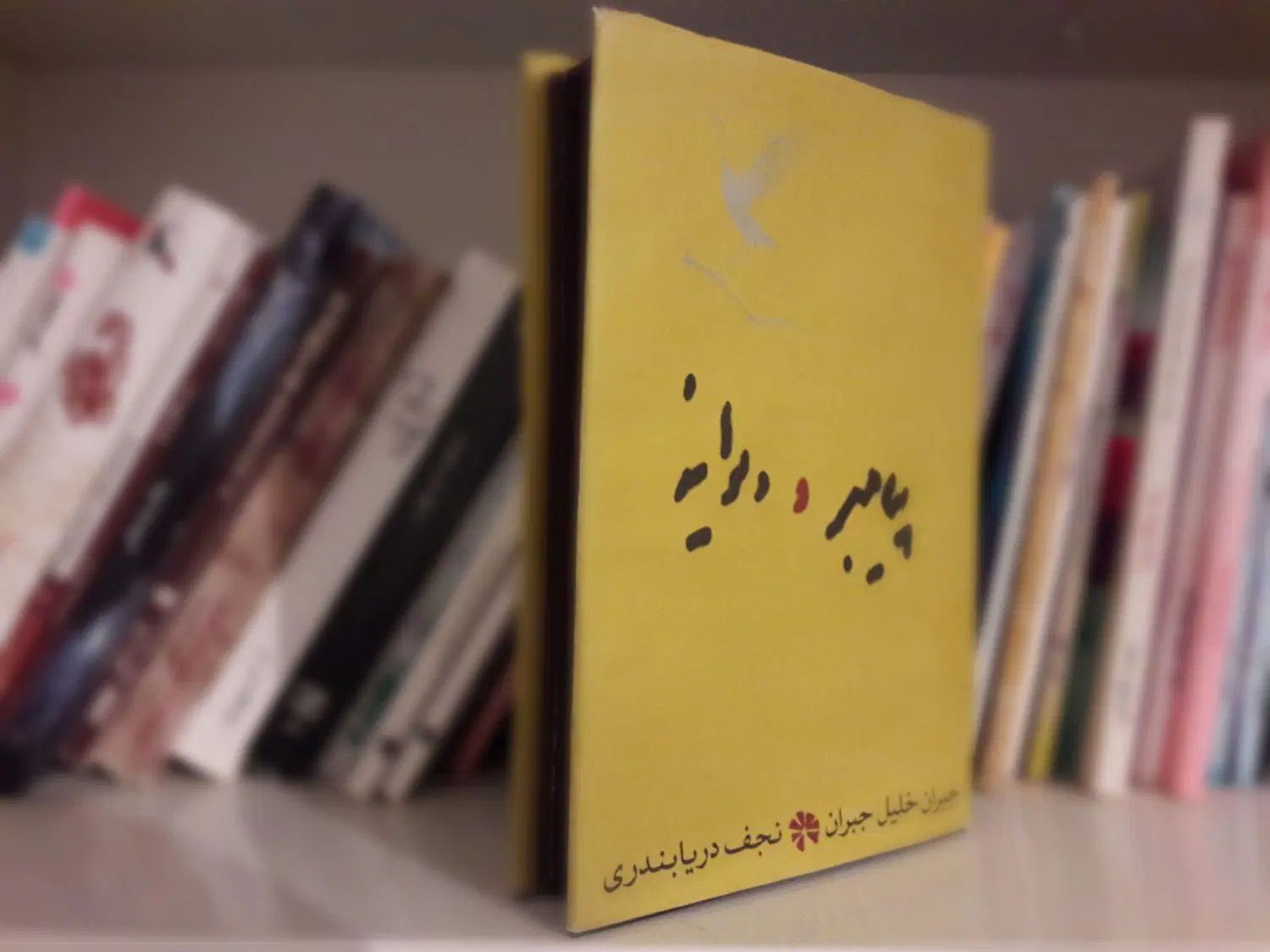 کتاب رمان|کتاب و مجله ادبی|کرج, فاز ۳ گوهردشت|دیوار