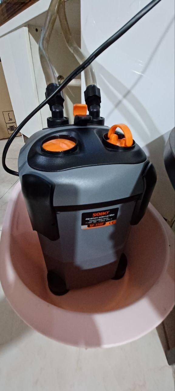 آکواریوم با تمام لوازم|ماهی|قدس, شهرقدس|دیوار