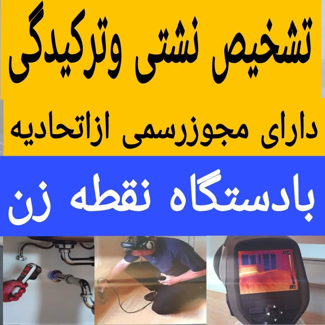 تشخیص ترکیدگی نشت یابی رفع نمزدگی رطوبت چکه بالیزر|خدمات پیشه و مهارت|مشهد, هدایت|دیوار