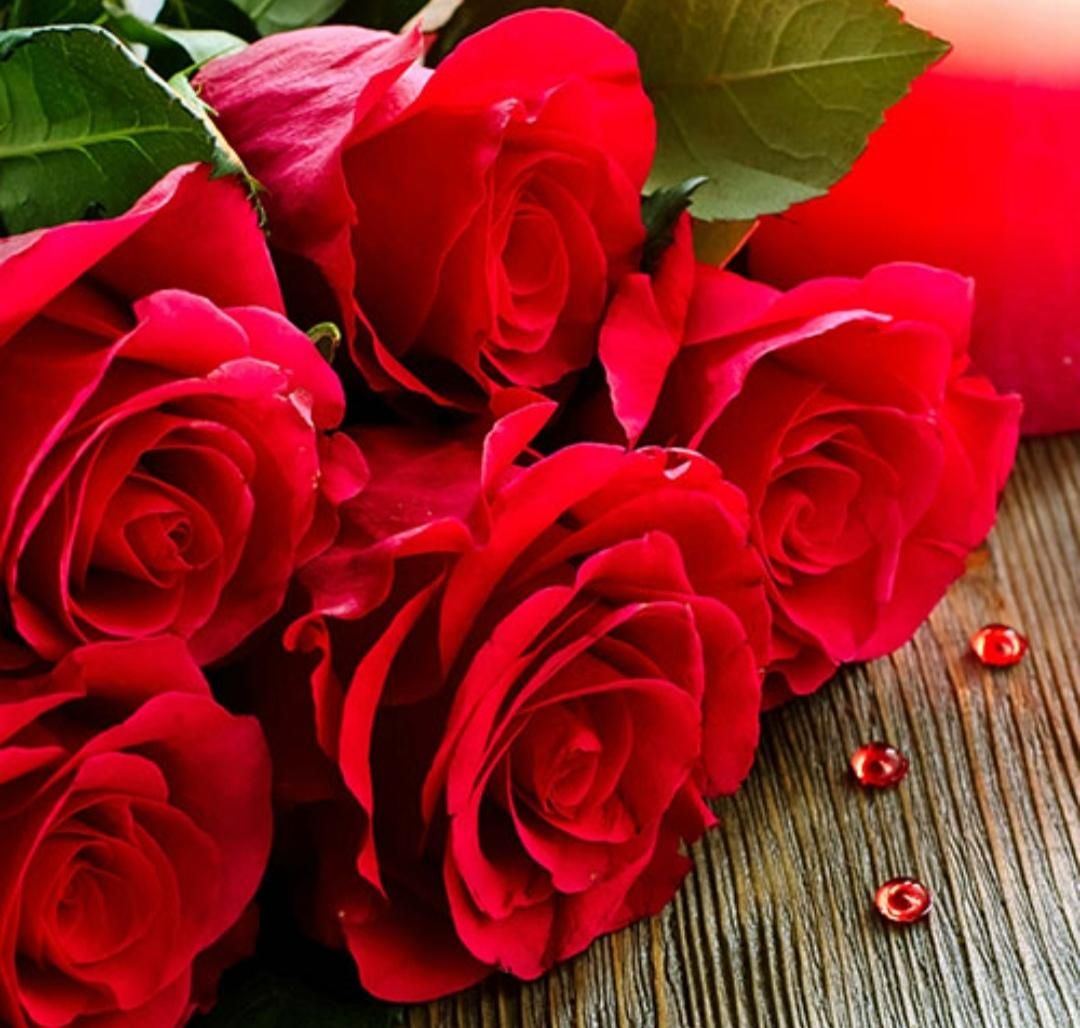 راهنمایی|فعالیت داوطلبانه|شیراز, اصلاحنژاد|دیوار