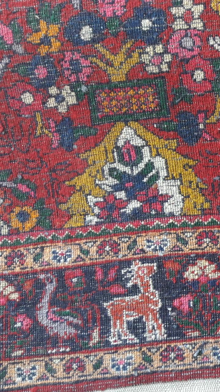 فرش کهنه قدیمی|فرش|زنجان, |دیوار