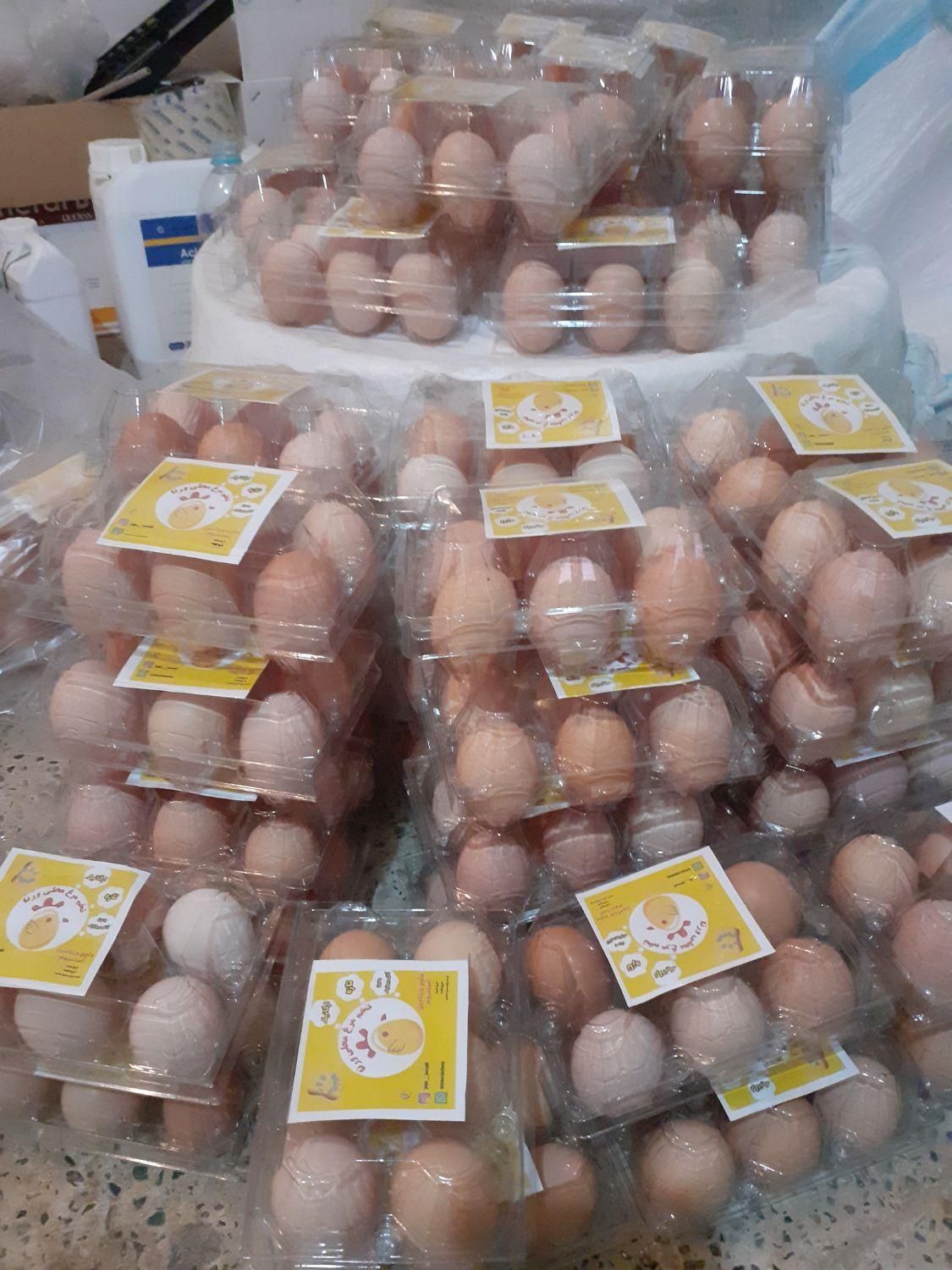 تخم مرغ محلی انزلی با زرده درشت و پرورش طبیعی|خوردنی و آشامیدنی|بندر انزلی, عباس آباد|دیوار