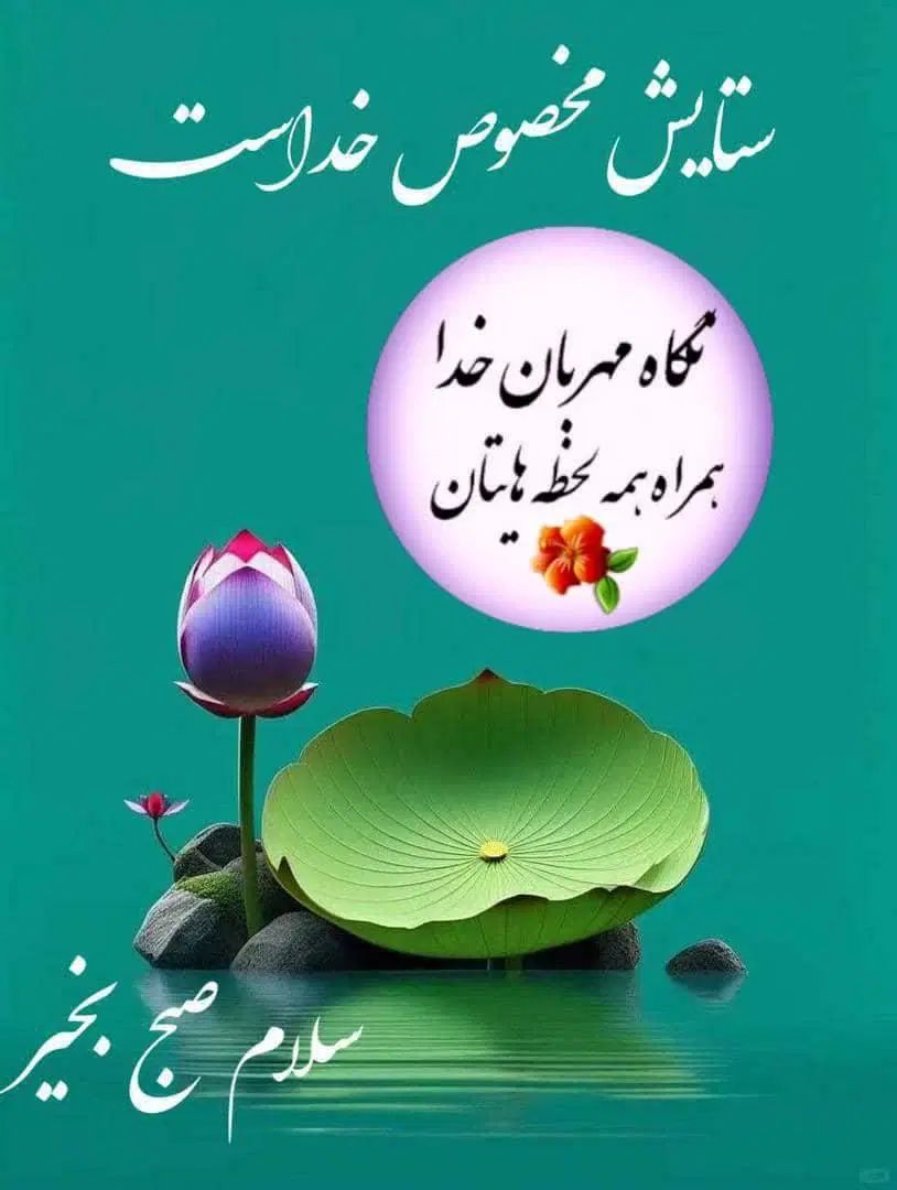 راهنمایی بفرمایید|فعالیت داوطلبانه|تهران, فلاح|دیوار