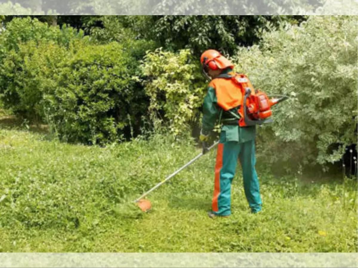 چمن زنی و علف زنی چمن کاری و گل کاری حاشیه زنی|خدمات باغبانی و درختکاری|ارومیه, |دیوار