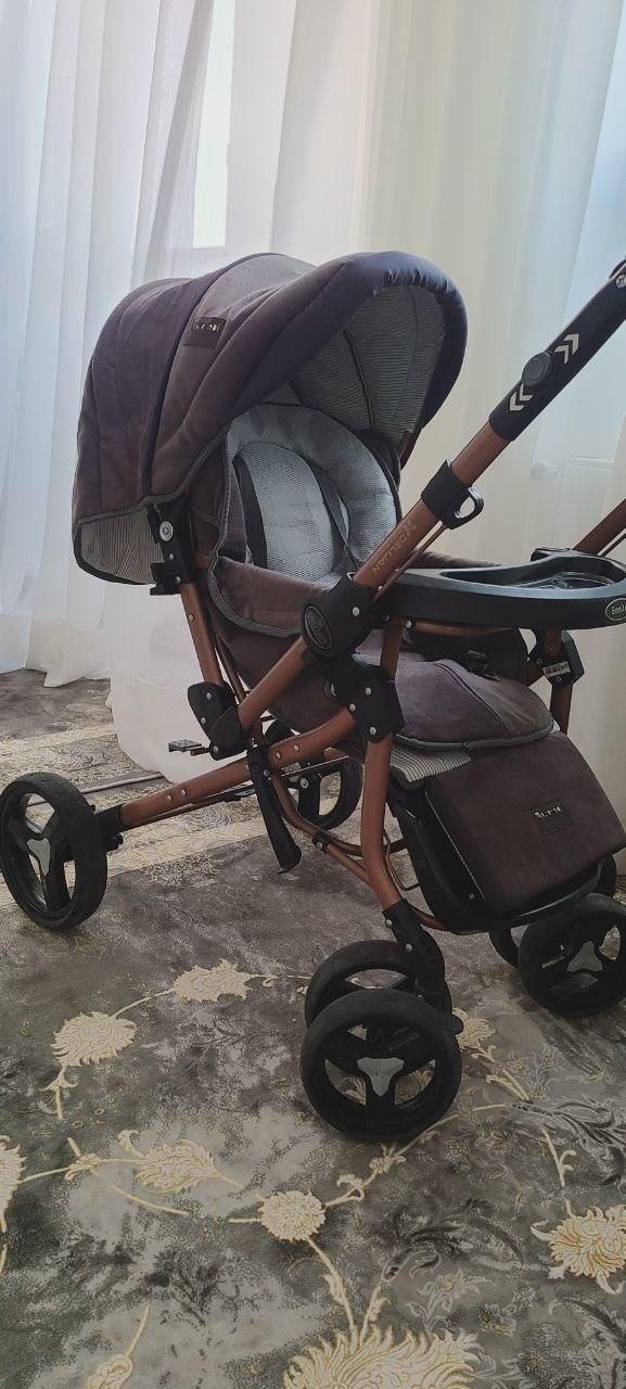 کالسکه دلیجان|کالسکه و لوازم جانبی|دماوند, گیلاوند|دیوار