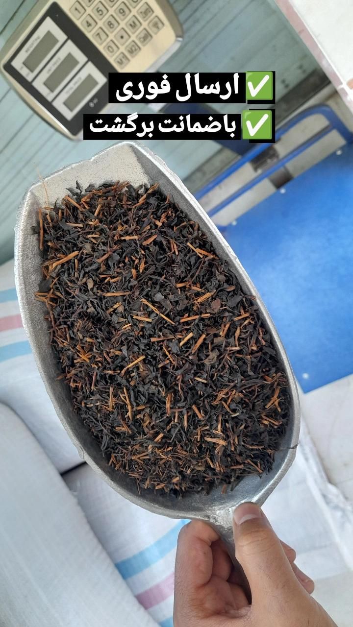 مرکز فروش انواع چای کافه و چایخانه ها|خوردنی و آشامیدنی|رشت, یخسازی|دیوار