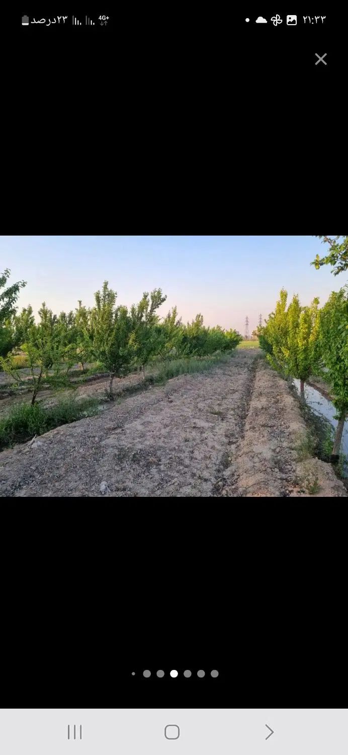 زمین باغی کشاورز ۴۰۶ متر اسلامشهر علی آباد طپانچه|فروش زمین و ملک کلنگی|تهران, تهرانسر غربی|دیوار
