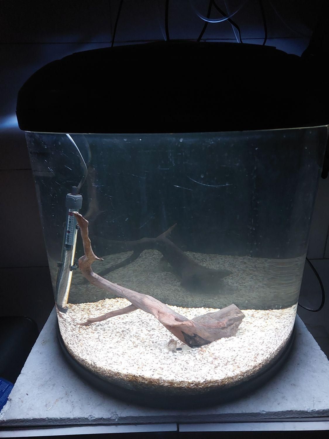 آکواریوم نیم دایره ماهیران ۸۰ لیتر|ماهی|قدس, شهرقدس|دیوار