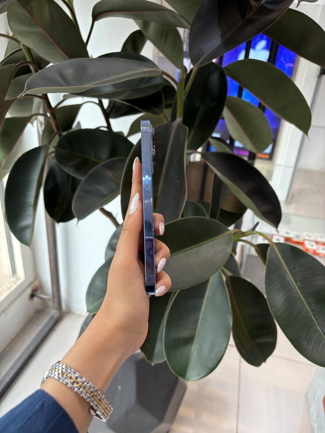 اپل iPhone 13 Pro با حافظهٔ ۲۵۶ گیگابایت|موبایل|تهران, شهرک غرب|دیوار
